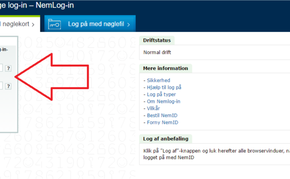 Trin 3 – Indtast dit personlige NemID