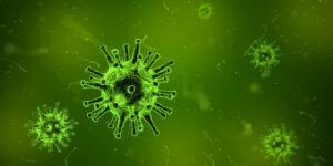 virus sygdom syg