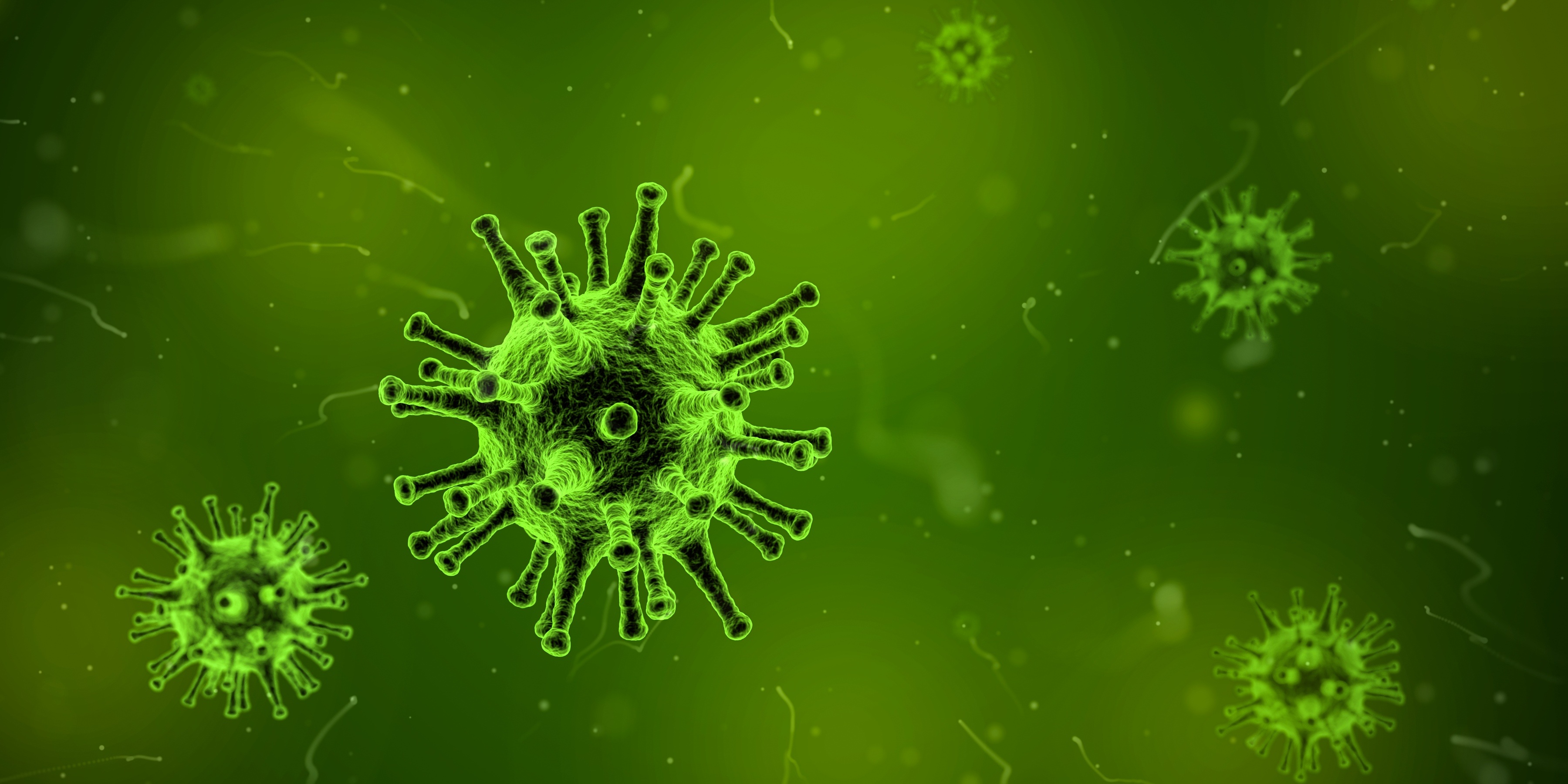 virus sygdom syg